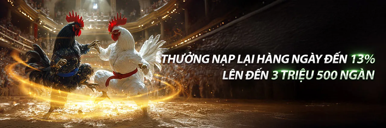 Đá gà trực tuyến đága67 với các trận đấu kịch tính
